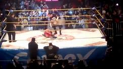 Perro Aguayo Jr. dies after dropkick from Rey Mysterio (Video)