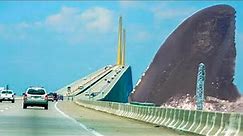 Megalodon Caught on Camera & Spotted In Real Life!