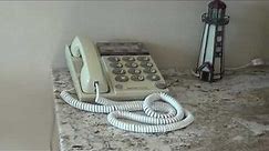 Telephones In My House 11/2023