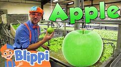 Learning Healthy Eating For Kids With Blippi At The Apple Factory | Educational Videos For Toddlers