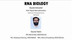 Introduction to RNA Biology and RNA World-RNA Self Replication
