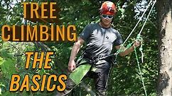 How to Climb Trees with the Basics!