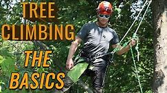 How to Climb Trees with the Basics!