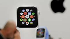 Apple Watch worth the cost despite app imperfections