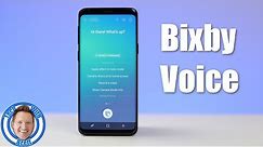 Bixby Home and Bixby Voice Setup Tutorial With Command List