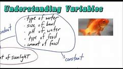 Independent and Dependent Variables Made Easy!!