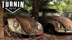 HUGE Abandoned Volkswagen Collection Found after 40 YEARS!! | 1960 VW Beetle | Turnin Rust