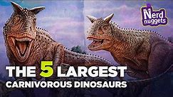 Giants of the Past: The 5 Largest Carnivorous Dinosaurs