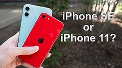 iPhone SE vs iPhone 11 / Which one is right for you?