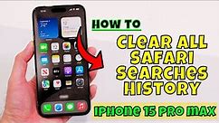 How to Clear All Safari Searches History iPhone 15/15 Pro Max