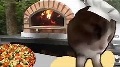 Cat making Pizza (meme)