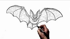How To Draw A Bat | Step By Step |