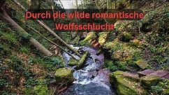 Fotowalk - die romantisch wilde Wolfsschlucht im Neckartal fotografieren