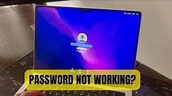Macbook Not Accepting Password | reset password