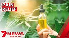 Cannabis oil emerging as powerful treatment for pain relief | 7NEWS