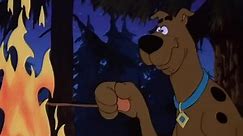 Scooby Doo & Scrappy Doo (1980 TV Series)