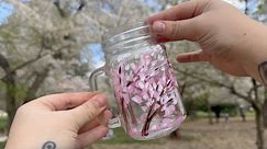 Step-by-Step Cherry Blossom Mason Jar Painting Tutorial