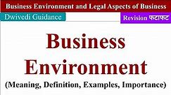 Business Environment, meaning, definition, examples, importance, business environment mba, bcom