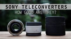 Sony 2x and 1.4x Teleconverters - How Good Are They!