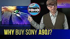 2021 Sony A90J or Cheaper OLED TV? Pricey HDR Perfection