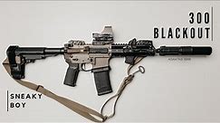 300 AAC Blackout : The Quietest Gun I Own