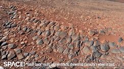 Sharp Martian Rocks Turns Curiosity Rover