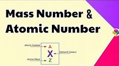 Atomic Number & Mass Number | Structure of Atom | Class 11 & 12 | Science