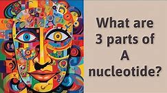 What are 3 parts of A nucleotide?