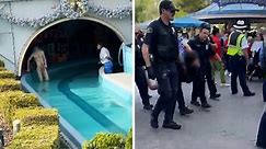 Naked man arrested at Disneyland's "It's A Small World" ride