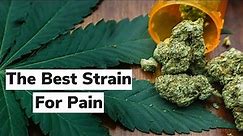 Find Your Best Strain for Pain | Discover Marijuana
