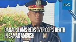 Danao slams Reds over cop’s death in Samar ambush