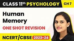 Human Memory - One Shot Revision | Class 11 Psychology Chapter 7