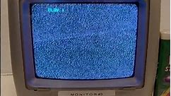 Magnavox 13” CRT TV VCR Retro Gaming TV