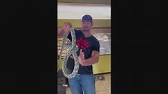 California man finds 7-foot snake in couch