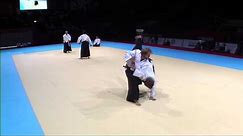 Russian Team - Aikido - World Combat Games 2013