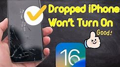 [2024] How to Fix Dropped iPhone Won't Turn On -- iPhone X/11/12/13/14