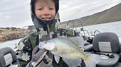 Winter Crappie Fishing on CJ Strike: Amazing Winter Fishing near Boise