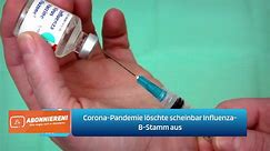 Corona-Pandemie löschte scheinbar Influenza-B-Stamm aus - video Dailymotion