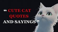 100 Cute Cat Quotes and Sayings | Cat Quotes | Fabulous Quotes