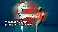 The Fight Science of Human | The Human Weapon Most Deadly Fighting Styles | Human weapon All in One: