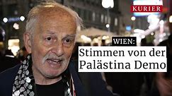 Wien: Stimmen von der Pro-Palästina Demo