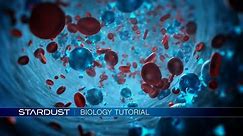 Stardust Biology After Effects Tutorial