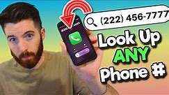 Look Up ANY Phone Number for FREE | Reverse Phone Number Lookup