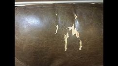 Peeling Leather Couch Repair