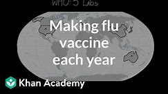 Making flu vaccine each year | Infectious diseases | Health & Medicine | Khan Academy