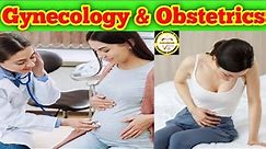 Difference between obstetrics and gynecology. Obstetrician. Gynecologist. Pregnancy.