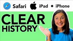 iPad & iPhone: How to Clear Safari History on an iOS Device - Delete History on Your iPad or iPhone