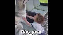 3 Reasons Dogs Love Their Tiny Humans