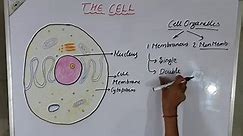 WHAT IS CELL?