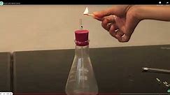 Reaction of acids & bases | Acids, bases, & salts | Chemistry class 10 | Khan Academy